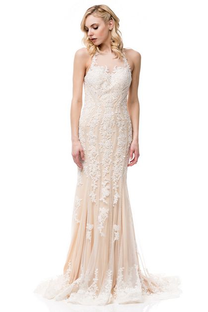 AG STUDIO, Sleeveless Mermaid Tulle Dress, TTW1797