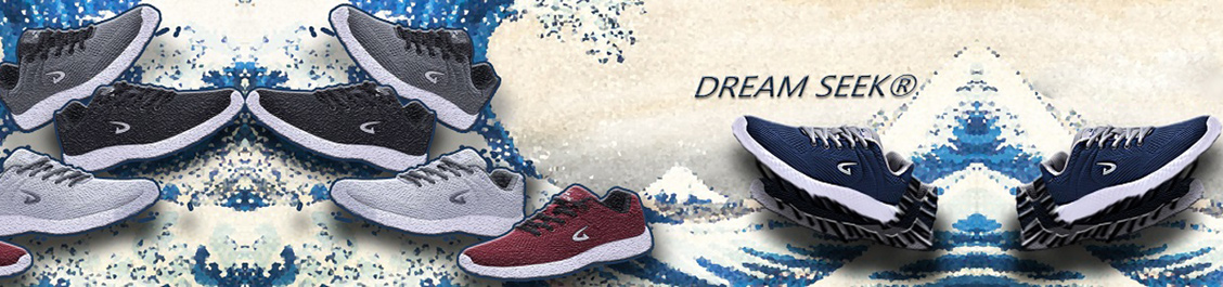 DREAMSEEK